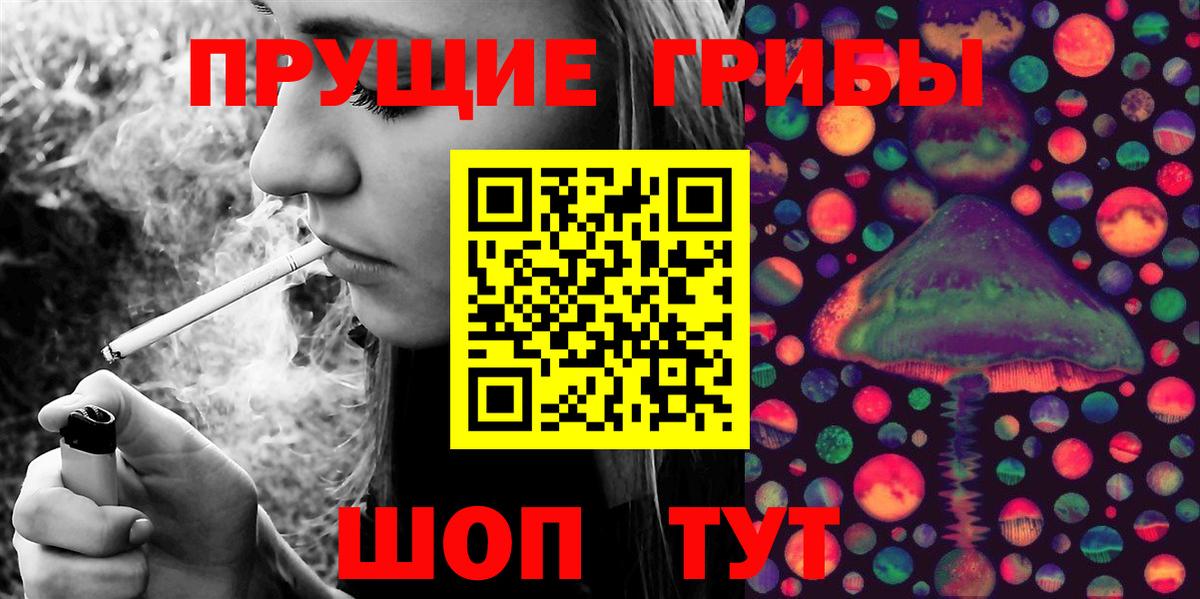 Кирово-Чепецк  Псилоцибиновые грибы Magic Shrooms  Вход с VPN 
